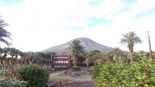 キョン以外にも見るものがあります