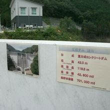 ダム堤体上側面