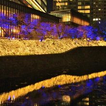 弁慶橋から見た