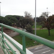 歩道橋から撮影