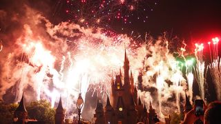 ティンカーベルを見逃すな！