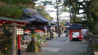 もっとゆっくり見たかった！