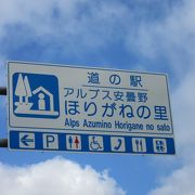 案内所に理由は分かりませんが「ドラえもん」の象があります