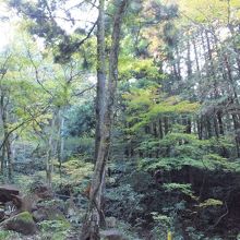 人はほとんどいない