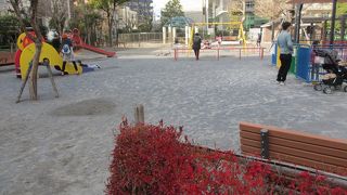 珍しい遊具もある広い公園です