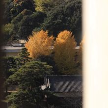 富士見多聞から見た皇居側