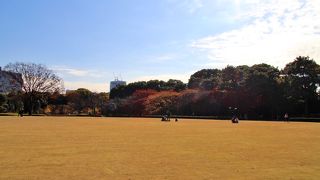 周りは紅葉してました