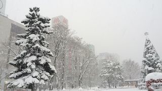 北海道のデパート