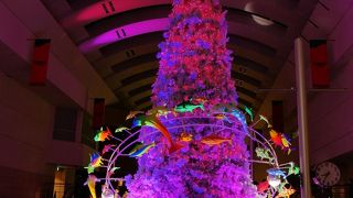 「Ocean Fantasy Tree～君と100回目の恋～」とタイアップ