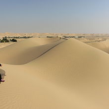 砂の上を歩くと靴の中に入ります