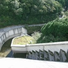 堤体上から下流側を覗く