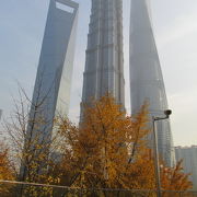 上海では数少ない銀杏の木が多く、高層ビルに囲まれています。