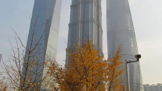 上海では数少ない銀杏の木が多く、高層ビルに囲まれています。