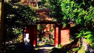 国分寺崖線の傾斜地を活かした石造美術品の見られる庭園・・　五島美術館庭園