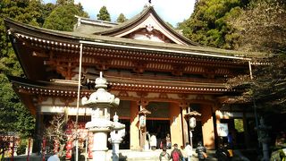 たくさんの達磨