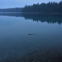 写真中央がビーバーです。朝の6;30、8月ですが寒い