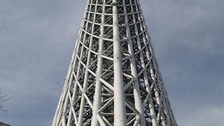 近くで見ると、すっごくデカい！