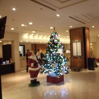 フロント前　クリスマスツリー