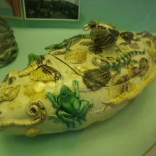 カエルさんがへばりついたお魚、私の一押し作品です（笑）