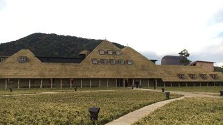 出来たてバーム&カステラが美味しい❤︎建物も可愛い（´-`）