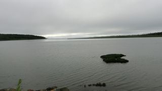 いい風景でした