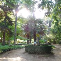 庭で、ベンチに座ってボッ～としたり。