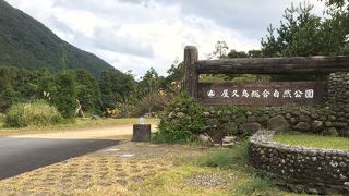 ゆのこの湯があります