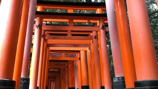 連なる鳥居に外国人驚愕