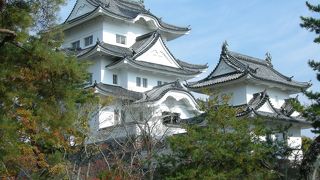 お城と忍者博物館が見どころ