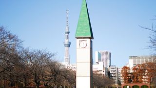 じゃぶじゃぶ池でカワセミを見て感動しました