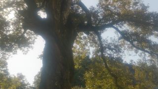 大河ドラマでさらに混みそう～