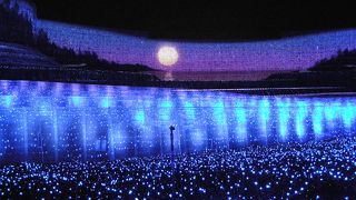 広い園内に落ち着いたイルミネーション