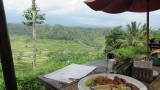 ブッフェでインドネシア料理が食べられます