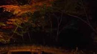 北側の奥にある橋