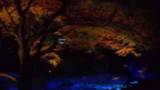 正門から染井門に続く通り