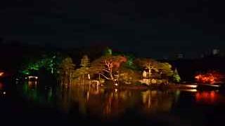 紅葉のライトアップが綺麗でした