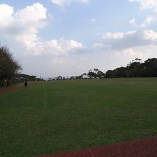 公園の風景