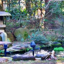 和館 座敷奥の 日本庭園