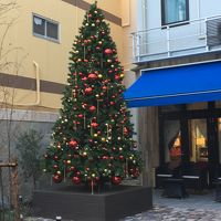 クリスマス時期のエントランス