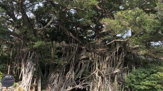 くぐりと幸せになる