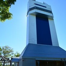 思っていたよりかなり大きい。