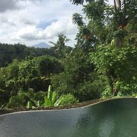 写真はホテルの部屋から、、神秘的な湧き水プール