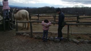 のどかで景色がいい牧場