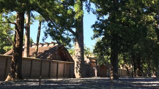 空気感が違う…。