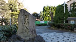 境内まで入れませんでした