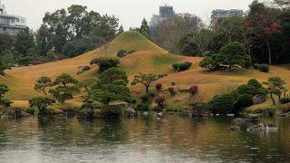阿蘇の伏流水で造られた池が中心