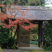 水前寺成趣園の駐車場の前にある寺院