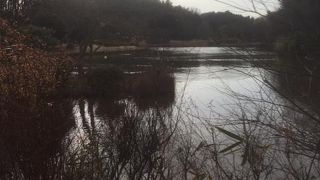 むしろ大人にお勧めしたい公園です。