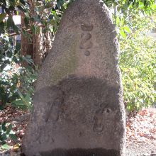 芭蕉句碑 (築地本願寺)