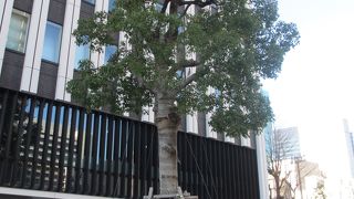 国税局前に立っています